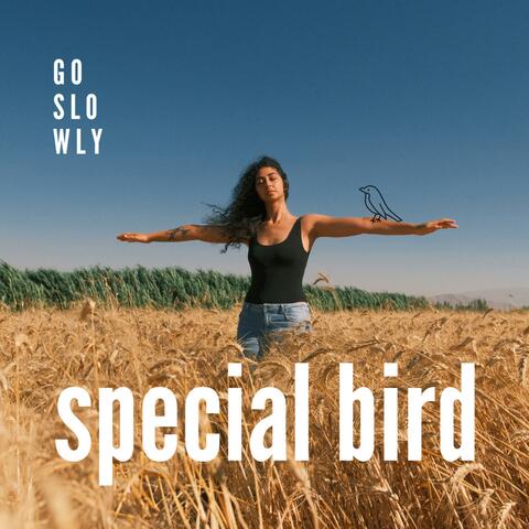 Special Bird