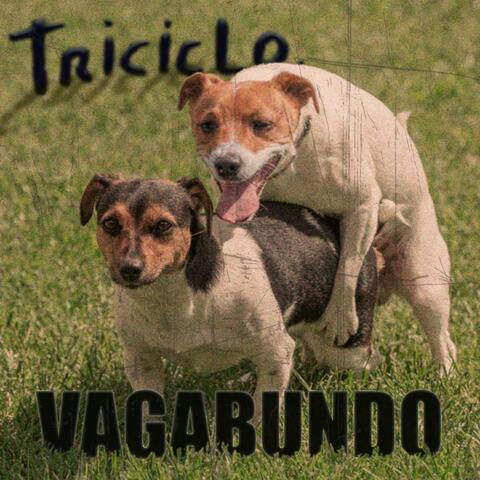 Triciclo