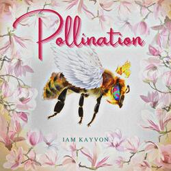 Pollination