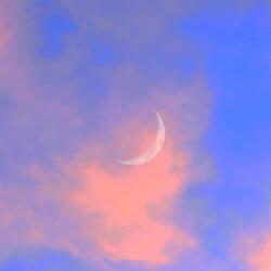 an ode to what could be