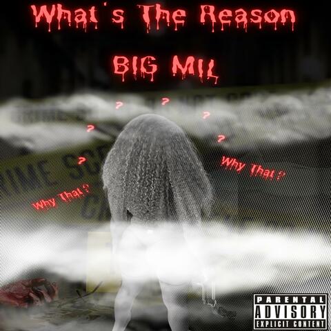What's The Reason