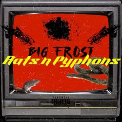 Rats n pyphons