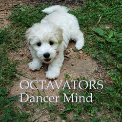 Dancer Mind
