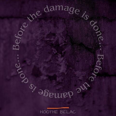 Before the Damage is Done...