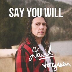 Say You Will
