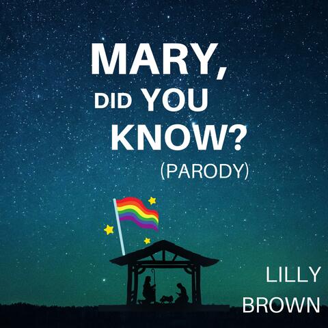 Mary, Did You Know? (Parody)