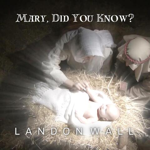 Mary, Did You Know?