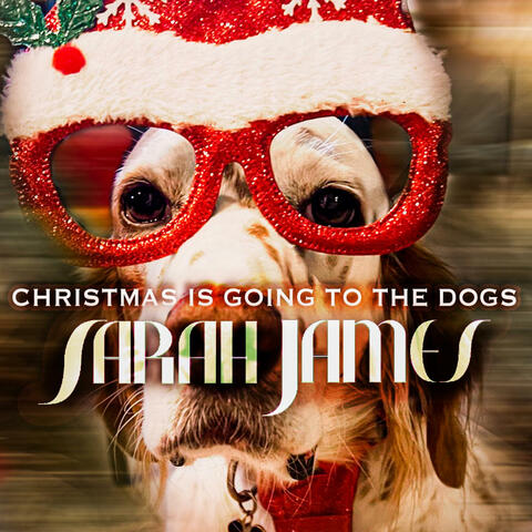 Christmas is Going to the Dogs