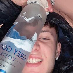 Grey goose