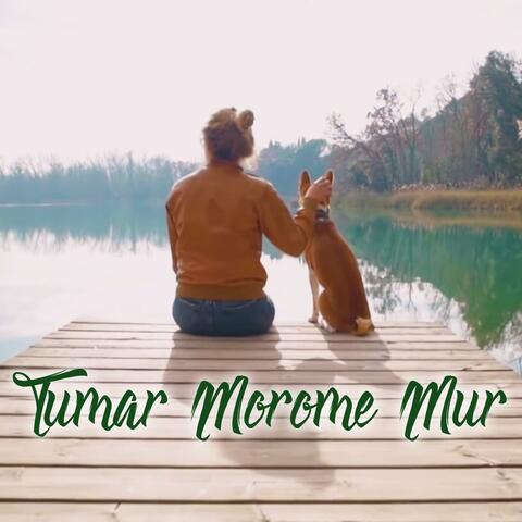 Tumar Morome Mur (feat. Jnanashree Borah)