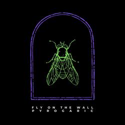 Fly On The Wall (Single Version)