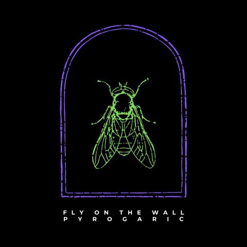 Fly On The Wall (Single Version)