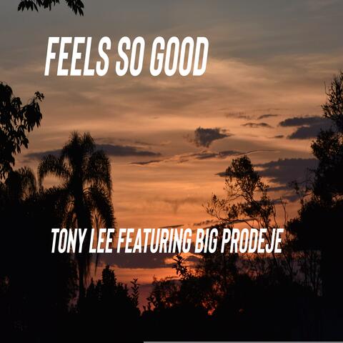 Feels So Good (feat. Big Prodeje)