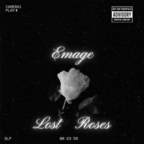 Lost Roses