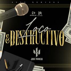 Loco Y Destructivo