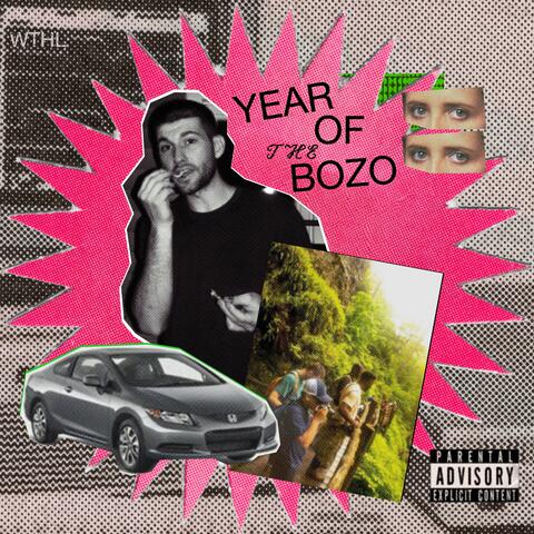 Year of the Bozo
