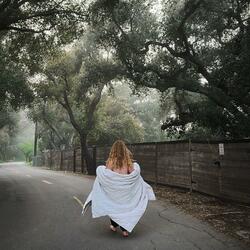 Every Floorboard (feat. Layv)