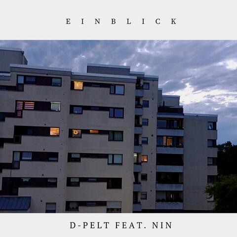 Einblick (feat. NIN)