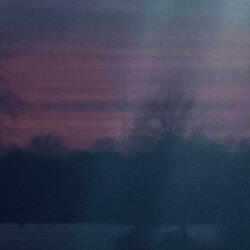 The Comedown