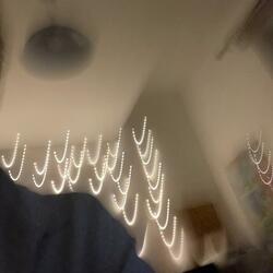 Dancing Like Soy Bomb