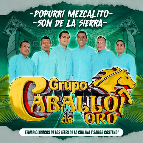 Popurri Mezcalito (Son de la Sierra)