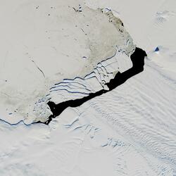Thermocline (observed)