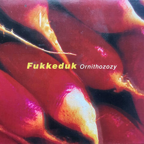 Fukkeduk
