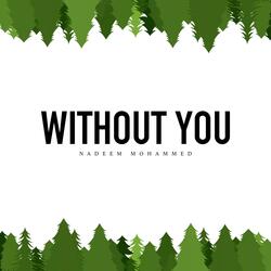 Without You