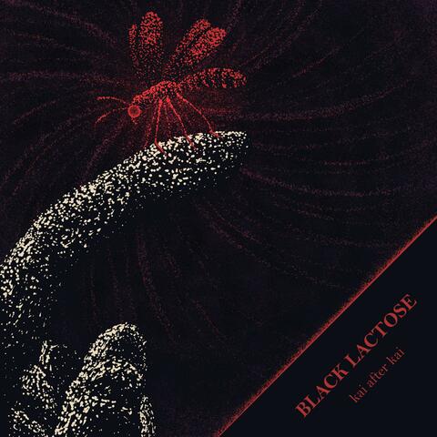 Black Lactose