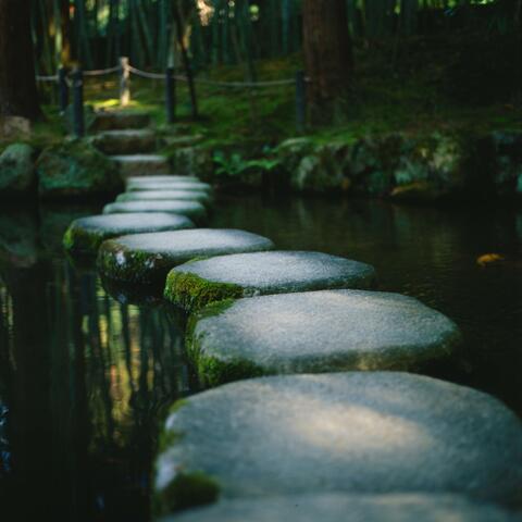 Stepping Stone