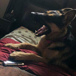 Wake Up (feat. JRekkless)