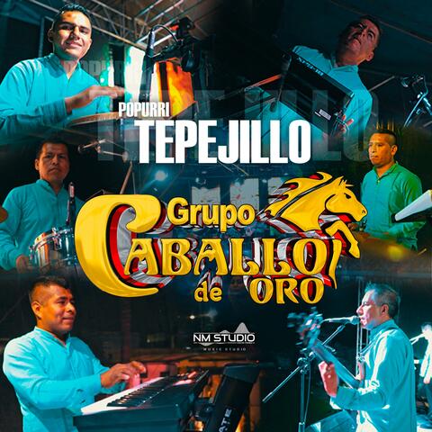 Popurrí Tepejillo