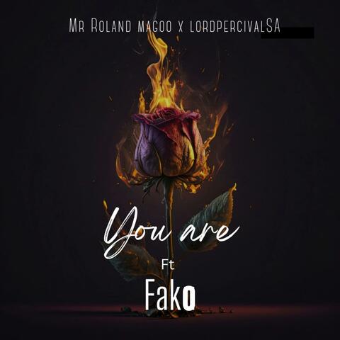 You Are (feat. Mr Roland Magoo & Fako)