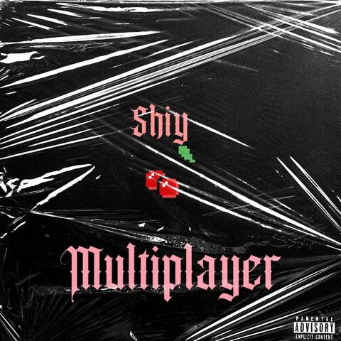 Multiplayer