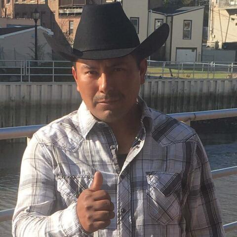 vamos a meter la leña