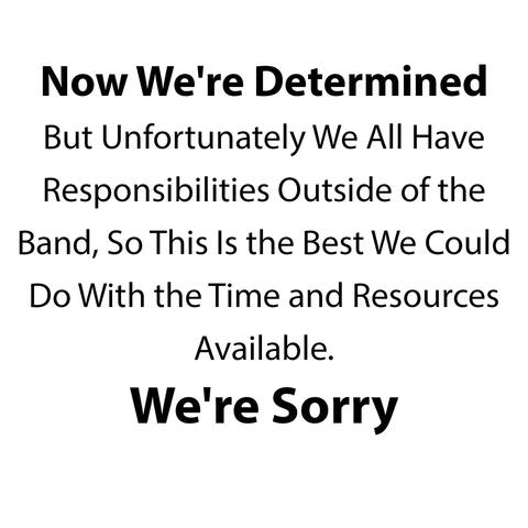 Now We're Determined, But Unfortunately We All Have Responsibilities Outside of the Band, So This Is the Best We Could Do With the Time and Resources Available. We're Sorry
