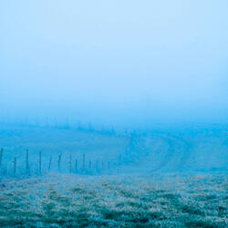 nothing felt like this