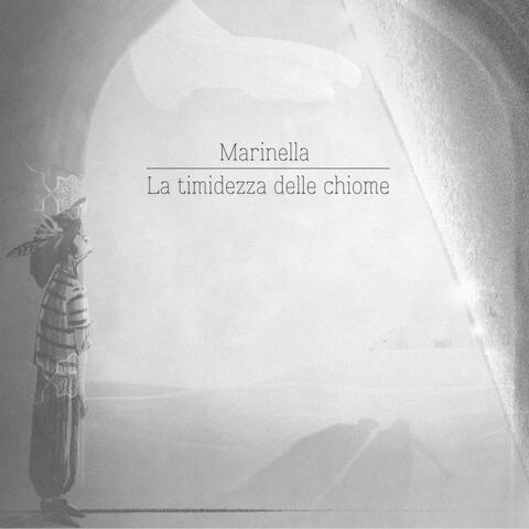 La timidezza delle chiome