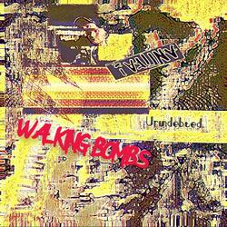 Cultural Capital Offense: Regurgitaint (feat. Gonemage)