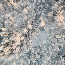 Cavernas interlapsus