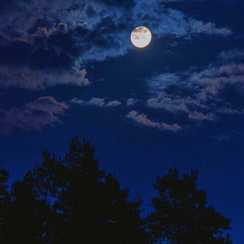 Long Night (feat. Tyeviintage)