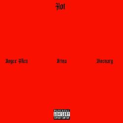 Hot (feat. Brina & Visionary)