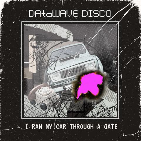 I ran my car through a gate