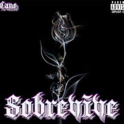 Sobrevive