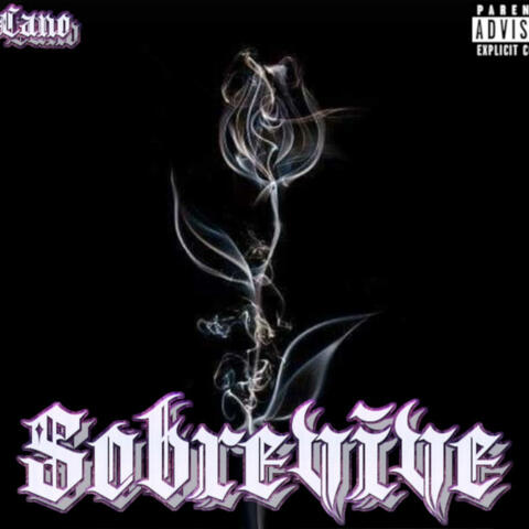 Sobrevive