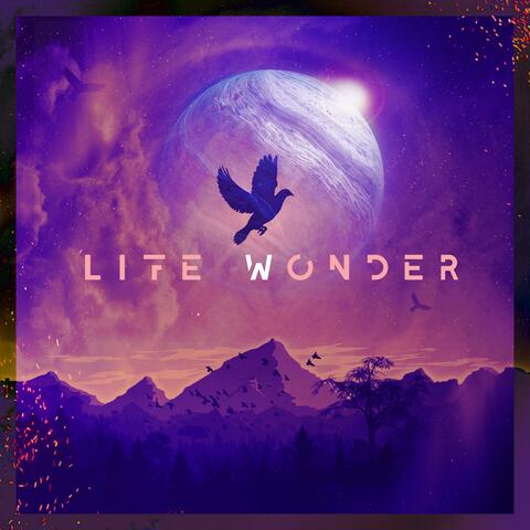 Life Wonder
