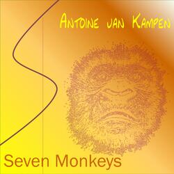 Seven Monkeys