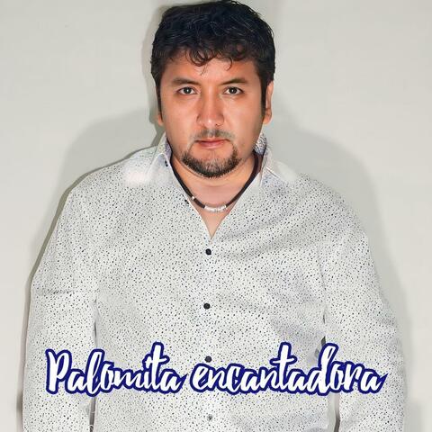 PALOMITA ENCANTADORA