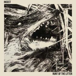 Runt Of The Litter