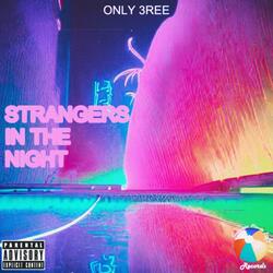 Strangers In The Night